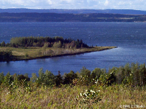 George's River- Summer 1998